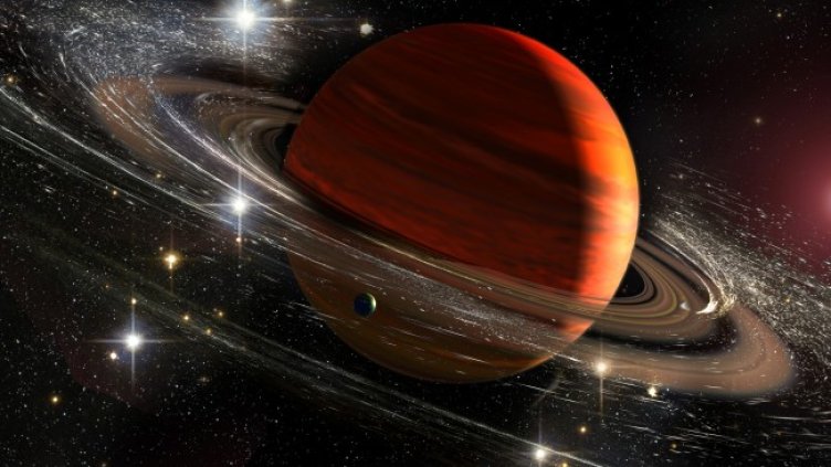 Снимка: iStock/Elen11