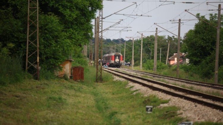 Снимка: БГНЕС, архив