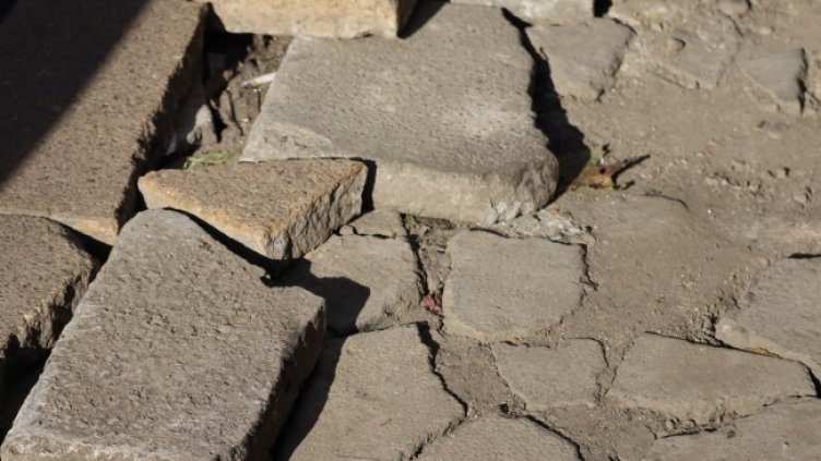 Снимка БГНЕС