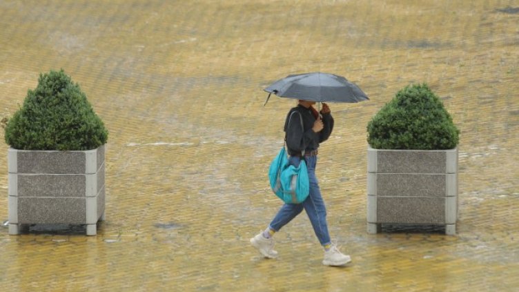 Снимка: БГНЕС