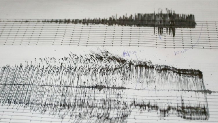 Снимка: архив, БГНЕС