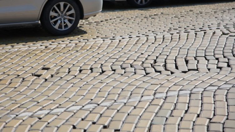 Снимка БГНЕС