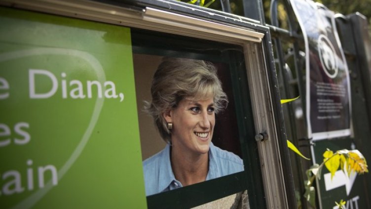 Снимка: архив, БГНЕС