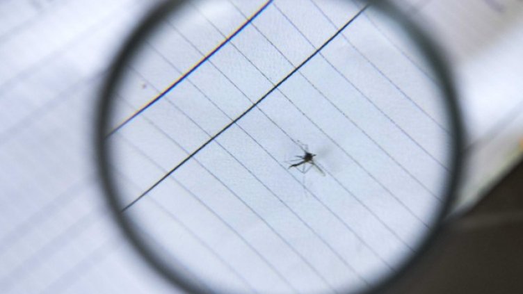 Снимка: архив, БГНЕС