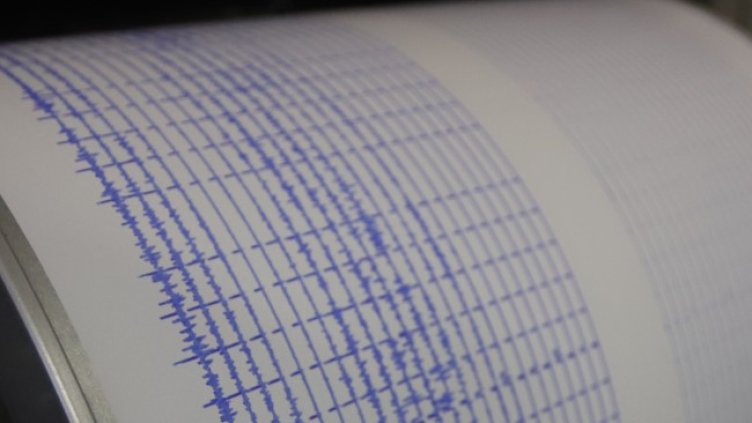 Снимка: архив, БГНЕС