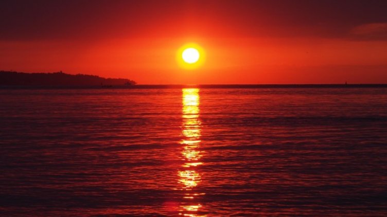 Снимка: БГНЕС, архив