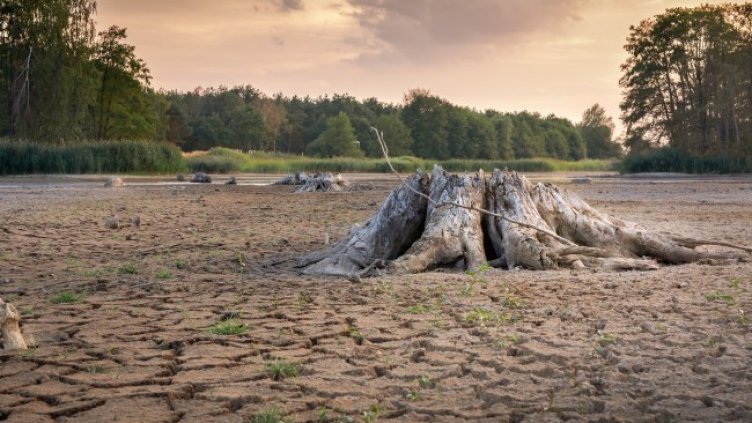 Снимка: Pixabay