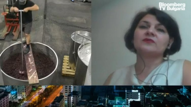 Снимка: Bloomberg TV Bulgaria