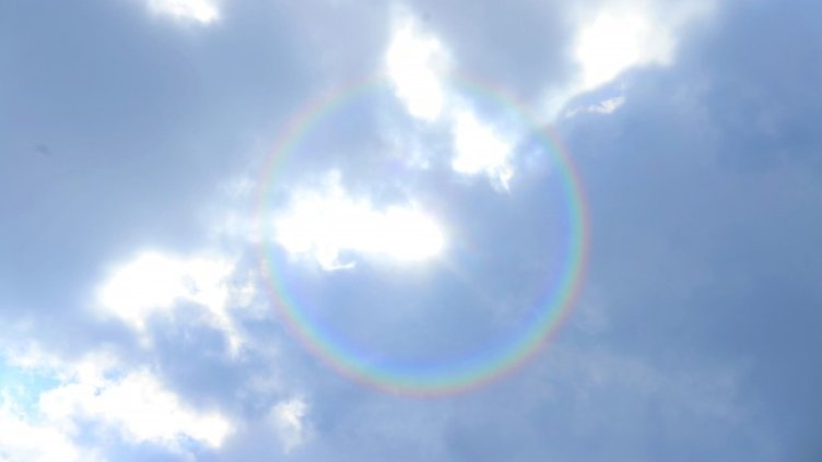 Снимка: архив, БГНЕС