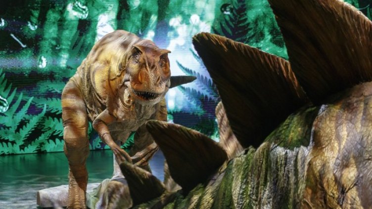 Снимка: архив, БГНЕС