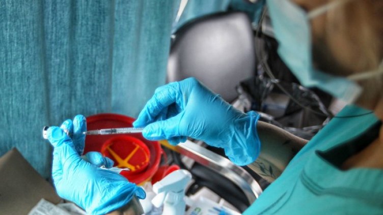 Снимка: Димитър Кьосемарлиев, Dnes.bg