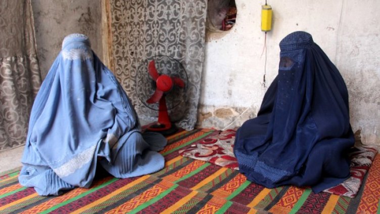 Снимка: архив, БГНЕС