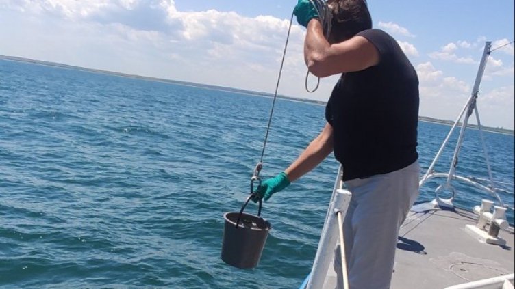 Снимка: архив, БГНЕС