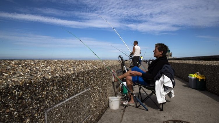 Снимка: архив, БГНЕС