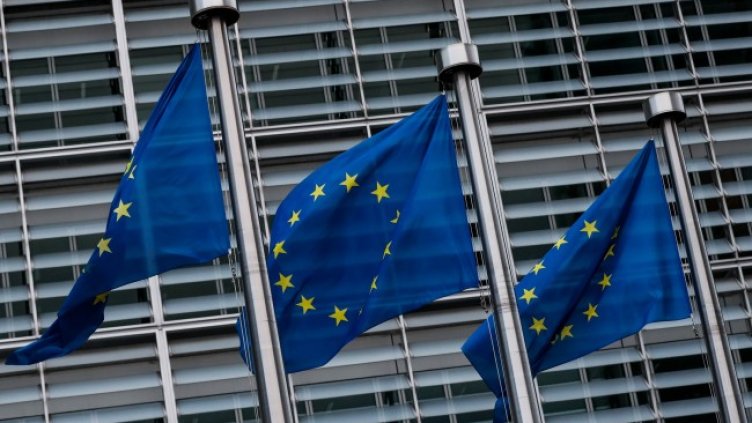 Снимка: архив, БГНЕС