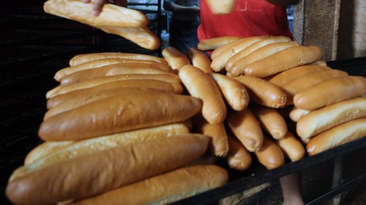 Снимка: архив, БГНЕС