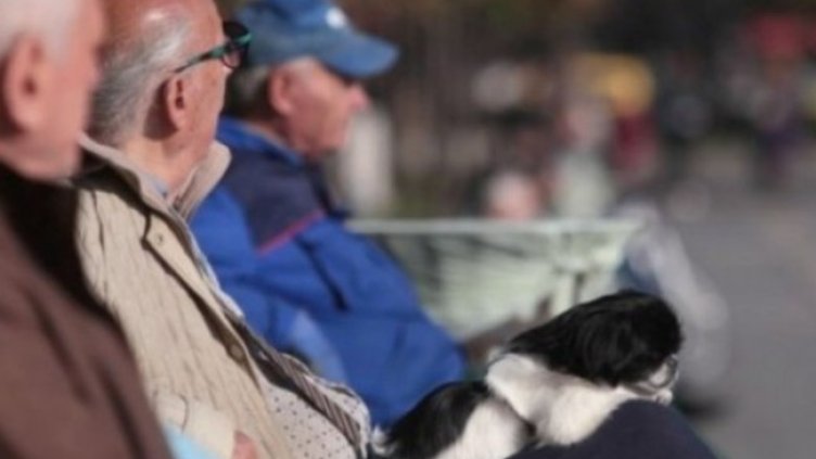 Снимка: Димитър Кьосемарлиев, Dnes.bg