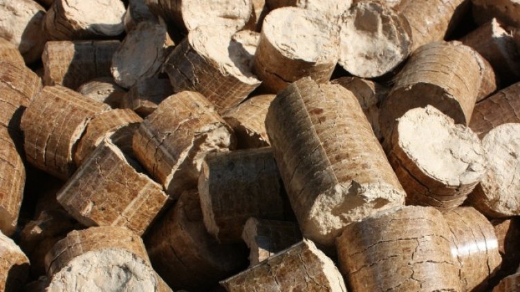 Снимка: Pixabay