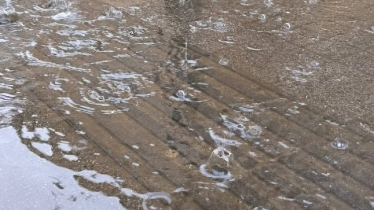 Снимка: архив, БГНЕС