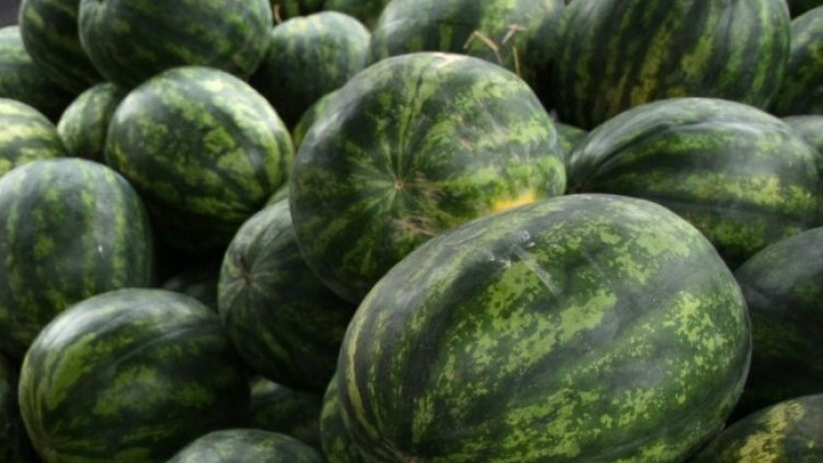 Снимка: архив, БГНЕС