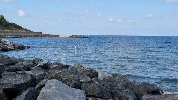 Снимка: архив, БГНЕС