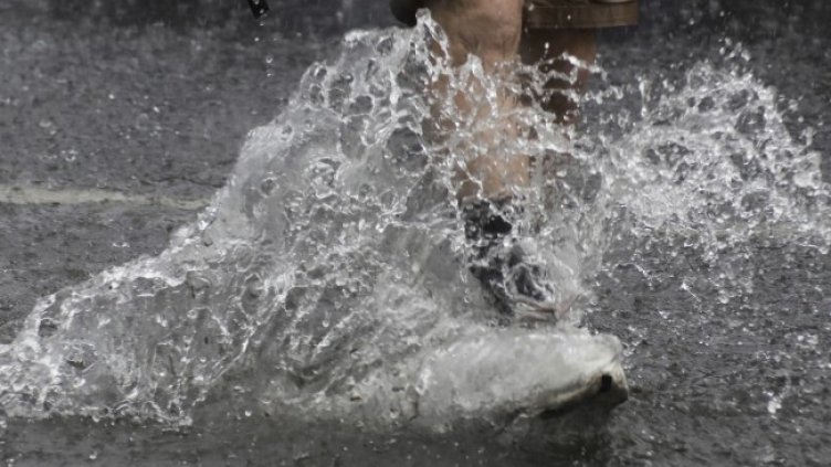 Снимка: архив, БГНЕС