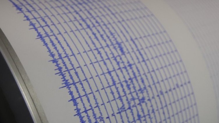 Снимка: архив, БГНЕС