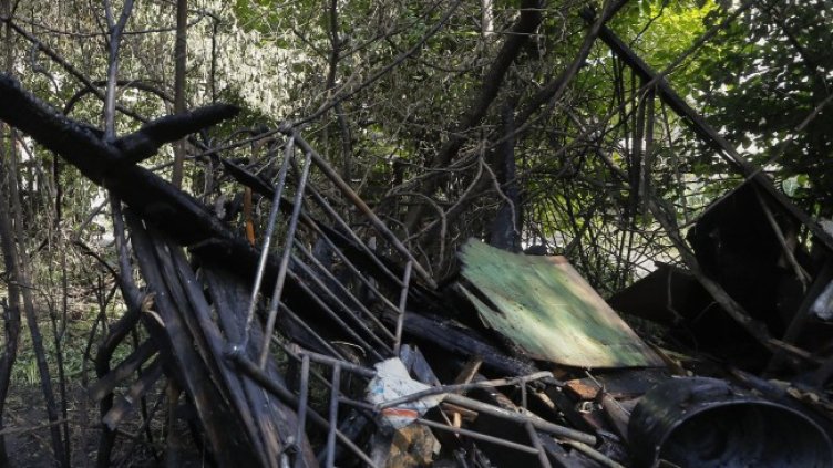 Снимка: архив, БГНЕС