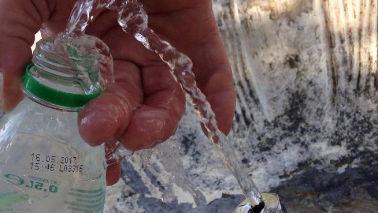 Снимка: архив, БГНЕС