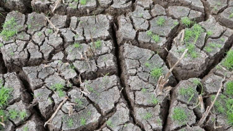 Снимка: архив, БГНЕС