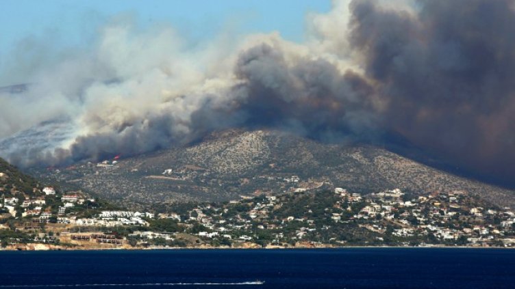 Снимка: архив, БГНЕС