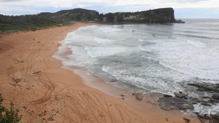 Снимка: архив, БГНЕС