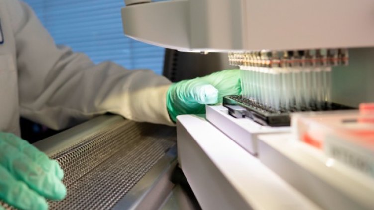 Снимка: архив, БГНЕС