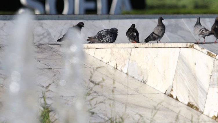 Снимка БГНЕС