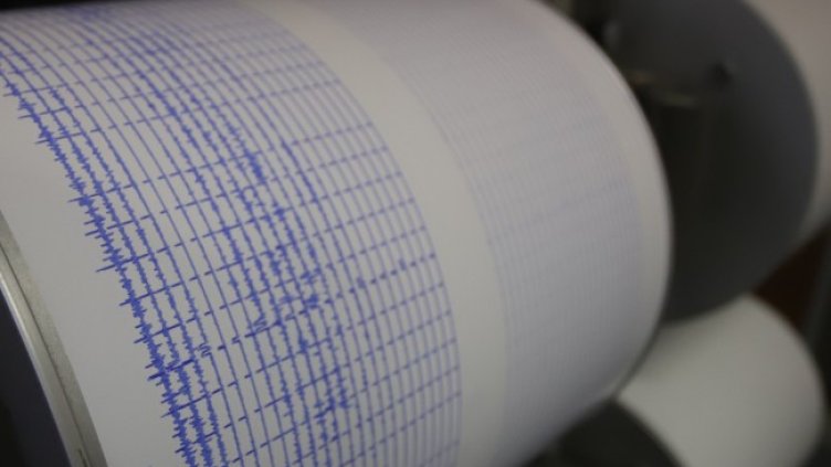 Снимка: архив, БГНЕС