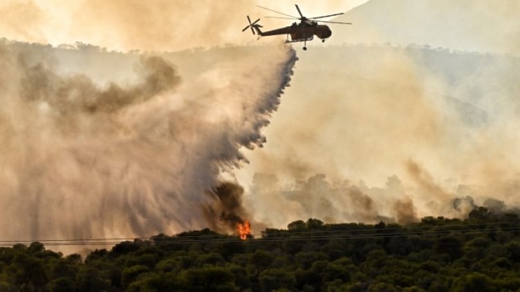 Снимка: архив, БГНЕС