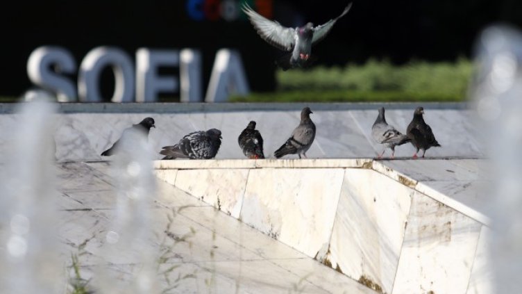 Снимка БГНЕС