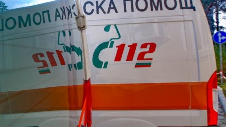 Снимка: Димитър Кьосемарлиев, Dnes.bg