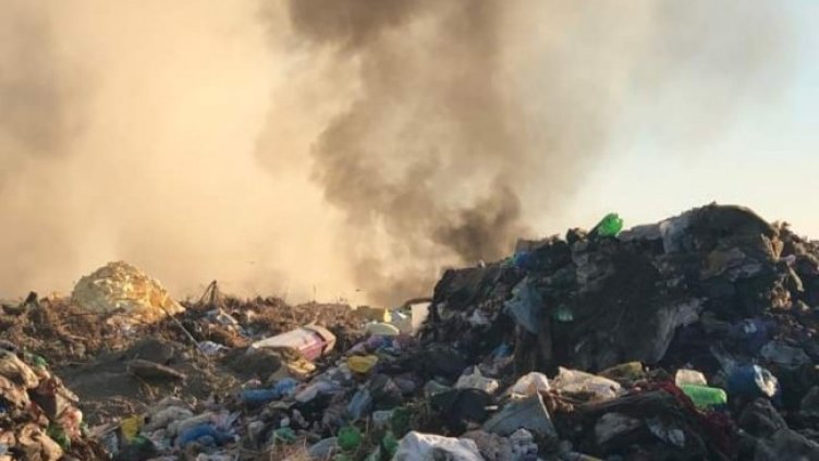 Снимка: архив, БГНЕС