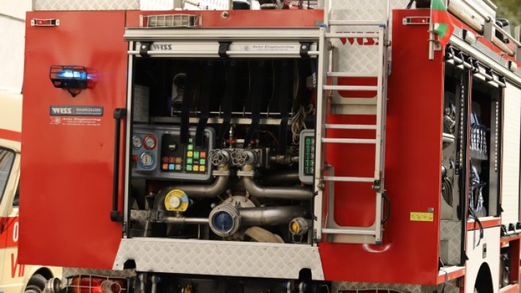 Снимка: БГНЕС