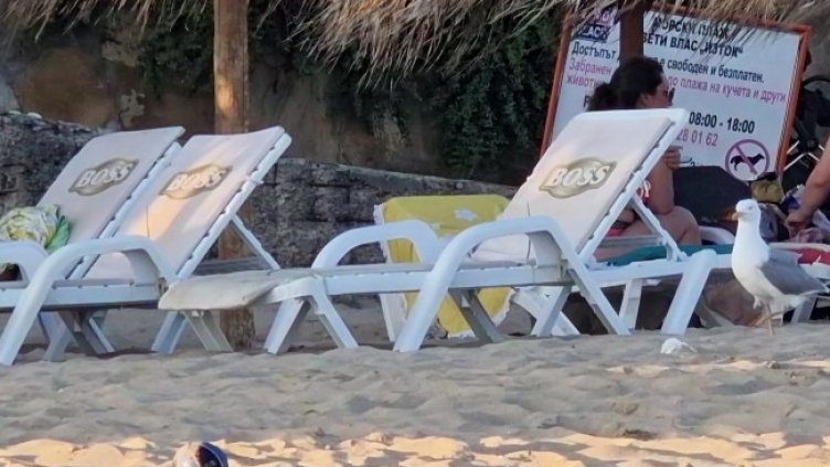 Снимка БГНЕС