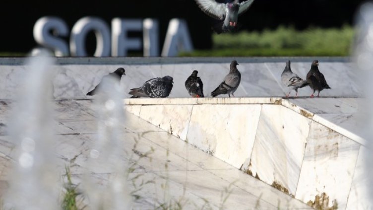 Снимка БГНЕС