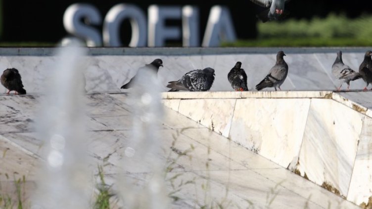 Снимка БГНЕС