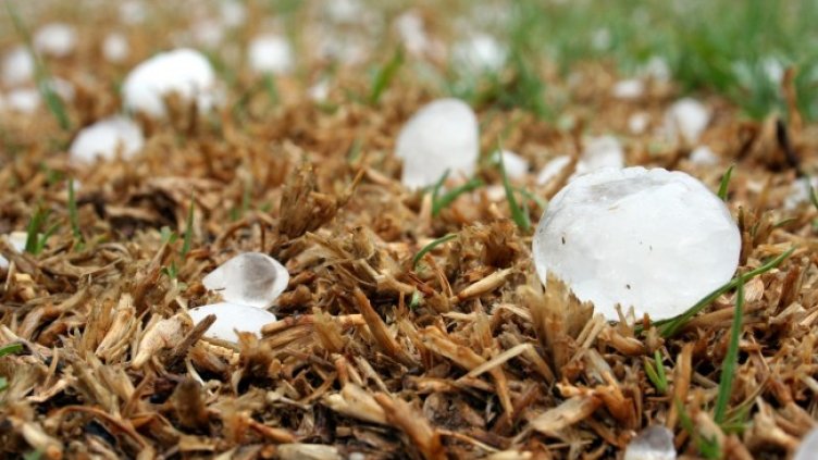 Снимка: Pixabay/maraisea