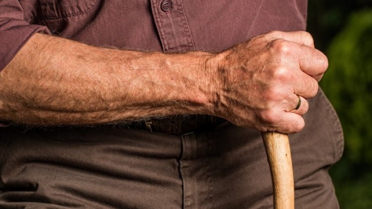 Снимка: Pixabay/stevepb