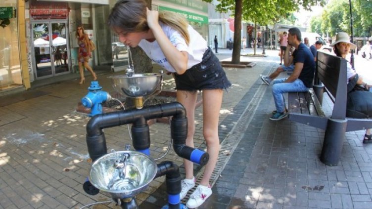 Снимка: Димитър Кьосемарлиев, Dnes.bg