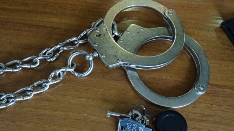 Снимка БГНЕС