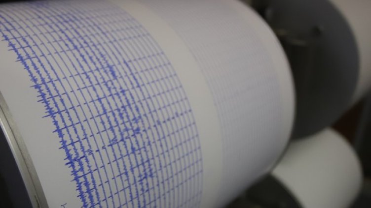 Снимка: архив, БГНЕС