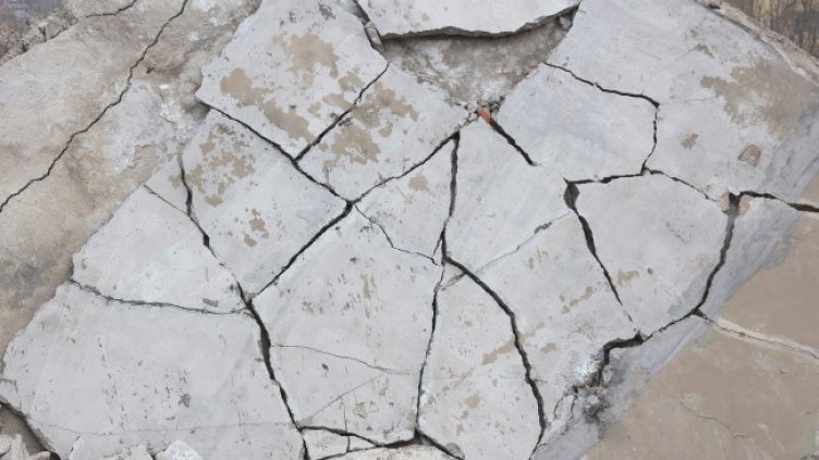 Снимка: архив, БГНЕС