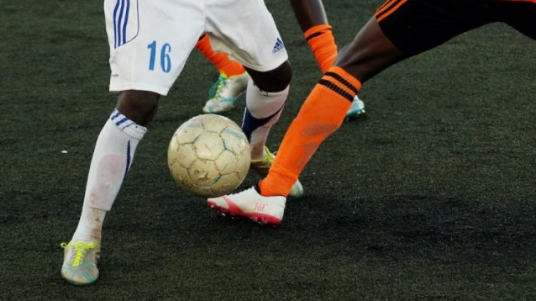 Снимки: Pexels